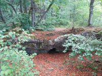 IMG 20200823 WA0004 IMG 20200823 WA0004