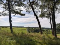 IMG 20200823 WA0012 IMG 20200823 WA0012