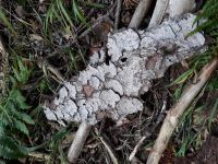 IMG 20200906 WA0002 IMG 20200906 WA0002