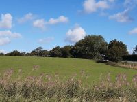 IMG 20200906 WA0030 IMG 20200906 WA0030