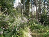 IMG 20200906 WA0052 IMG 20200906 WA0052