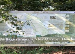 IMG 20210815 WA0006 IMG 20210815 WA0006