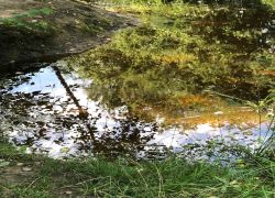 IMG 20210815 WA0024 IMG 20210815 WA0024