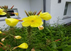 IMG 20210805 WA0027 IMG 20210805 WA0027