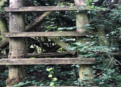 IMG 20210805 WA0040 IMG 20210805 WA0040