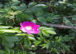 IMG 20210610 WA0020 IMG 20210610 WA0020