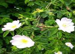 IMG 20210610 WA0030 IMG 20210610 WA0030