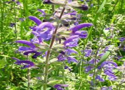 IMG 20210610 WA0034 IMG 20210610 WA0034