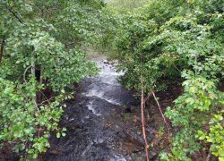 20210829 100341 Copy 1849x1387 20210829 100341 Copy 1849x1387