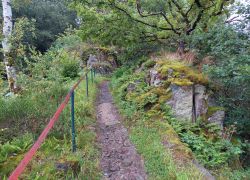 20210829 100621 Copy 1849x1387 20210829 100621 Copy 1849x1387