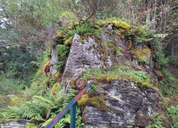 20210829 100645 Copy 1849x1387 20210829 100645 Copy 1849x1387