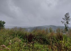 20210829 101826 Copy 1849x1387 20210829 101826 Copy 1849x1387