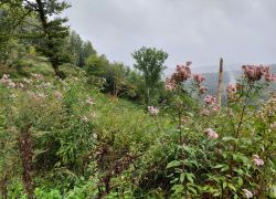 20210829 101846 Copy 1849x1387 20210829 101846 Copy 1849x1387