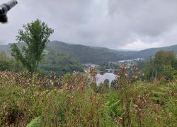 20210829 101937 Copy 1849x1387 20210829 101937 Copy 1849x1387