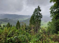 20210829 104310 Copy 1849x1387 20210829 104310 Copy 1849x1387