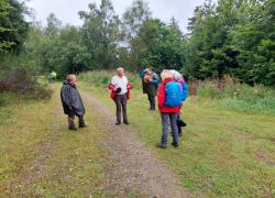 20210829 110302 Copy 1849x1387 20210829 110302 Copy 1849x1387