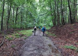 20210829 121107 Copy 1849x1387 20210829 121107 Copy 1849x1387