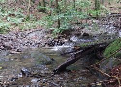 20210829 124059 Copy 1849x1387 20210829 124059 Copy 1849x1387