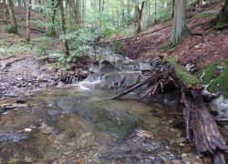 20210829 124149 Copy 1849x1387 20210829 124149 Copy 1849x1387