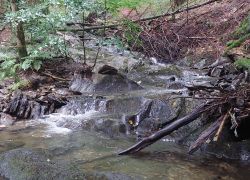 20210829 124157 Copy 1849x1387 20210829 124157 Copy 1849x1387