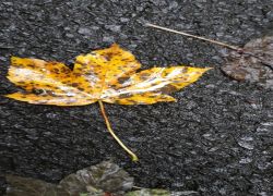 IMG 20210829 WA0001 IMG 20210829 WA0001