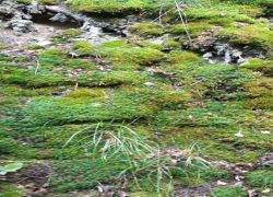 IMG 20210829 WA0007 IMG 20210829 WA0007