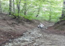 IMG 20210829 WA0010 IMG 20210829 WA0010