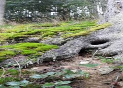 IMG 20210829 WA0011 IMG 20210829 WA0011