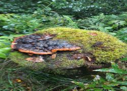 IMG 20210829 WA0014 IMG 20210829 WA0014