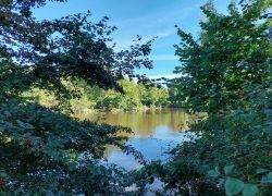 20210919 095221 Copy 1849x1387 20210919 095221 Copy 1849x1387