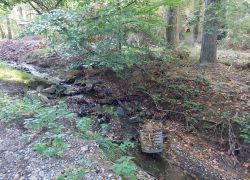 20210919 101121 Copy 1849x1387 20210919 101121 Copy 1849x1387