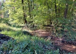 20210919 101214 Copy 1849x1387 20210919 101214 Copy 1849x1387