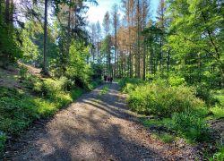 20210919 101228 Copy 1849x1387 20210919 101228 Copy 1849x1387