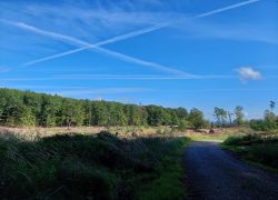 20210919 103359 Copy 1849x1387 20210919 103359 Copy 1849x1387