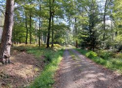 20210919 104508 Copy 1849x1387 20210919 104508 Copy 1849x1387