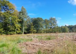 20210919 113242 Copy 1849x1387 20210919 113242 Copy 1849x1387