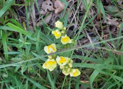 20210919 113345 Copy 1305x979 20210919 113345 Copy 1305x979