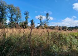 20210919 120352 Copy 1849x1387 20210919 120352 Copy 1849x1387