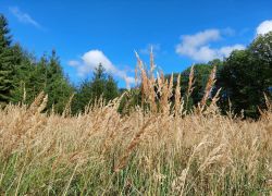 20210919 120843 Copy 1849x1387 20210919 120843 Copy 1849x1387