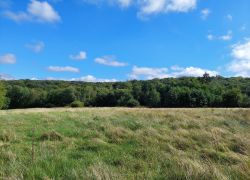 20210919 122927 Copy 1849x1387 20210919 122927 Copy 1849x1387