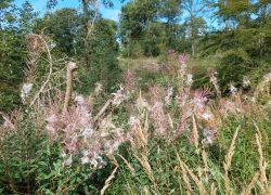 20210919 124706 Copy 1849x1387 20210919 124706 Copy 1849x1387