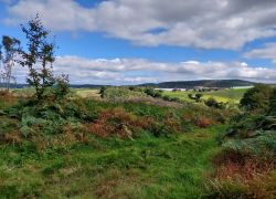 20210919 132021 Copy 1849x1387 20210919 132021 Copy 1849x1387