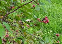 20210919 132509 Copy 1305x979 20210919 132509 Copy 1305x979