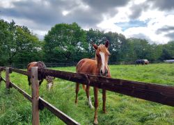 20210919 135137 Copy 1849x1387 20210919 135137 Copy 1849x1387