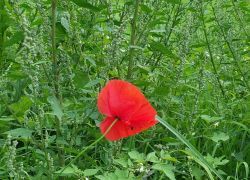 20210919 142642 Copy 1305x979 20210919 142642 Copy 1305x979