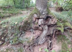 20210919 143639 Copy 1849x1387 20210919 143639 Copy 1849x1387