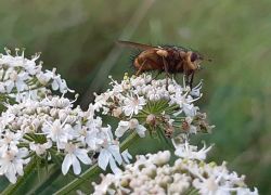 IMG 20210919 WA0008 IMG 20210919 WA0008