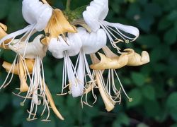 IMG 20210919 WA0014 IMG 20210919 WA0014