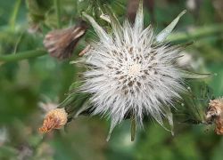 IMG 20210919 WA0017 IMG 20210919 WA0017