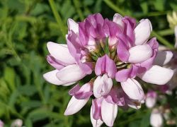 IMG 20210919 WA0018 IMG 20210919 WA0018